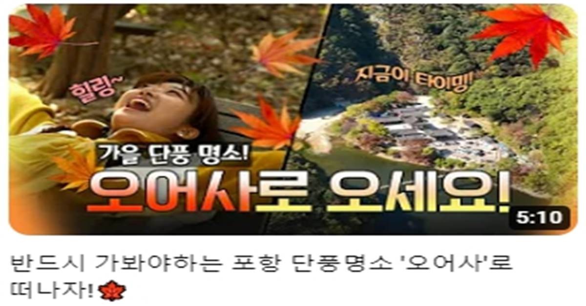포항시 유튜브에 업로드된 오어사 가을 단풍 홍보영상
