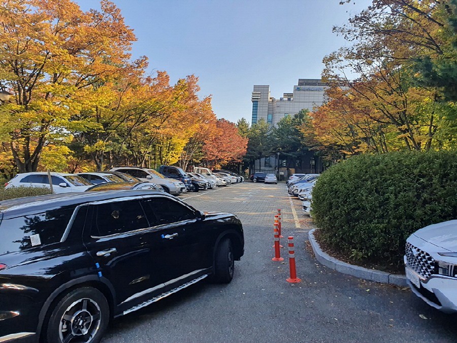 주차장 확대전 붐비던 정발산공원 주차장