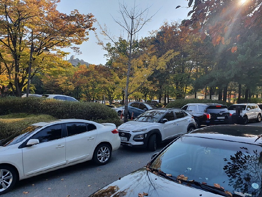 주차장 확대전 붐비던 정발산공원 주차장