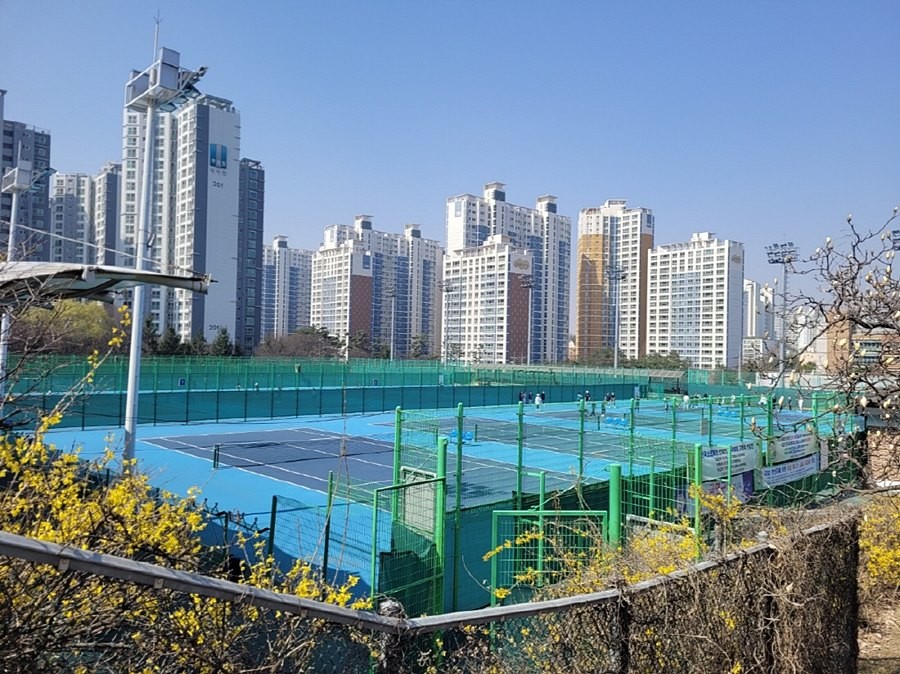 성사체육공원 테니스장