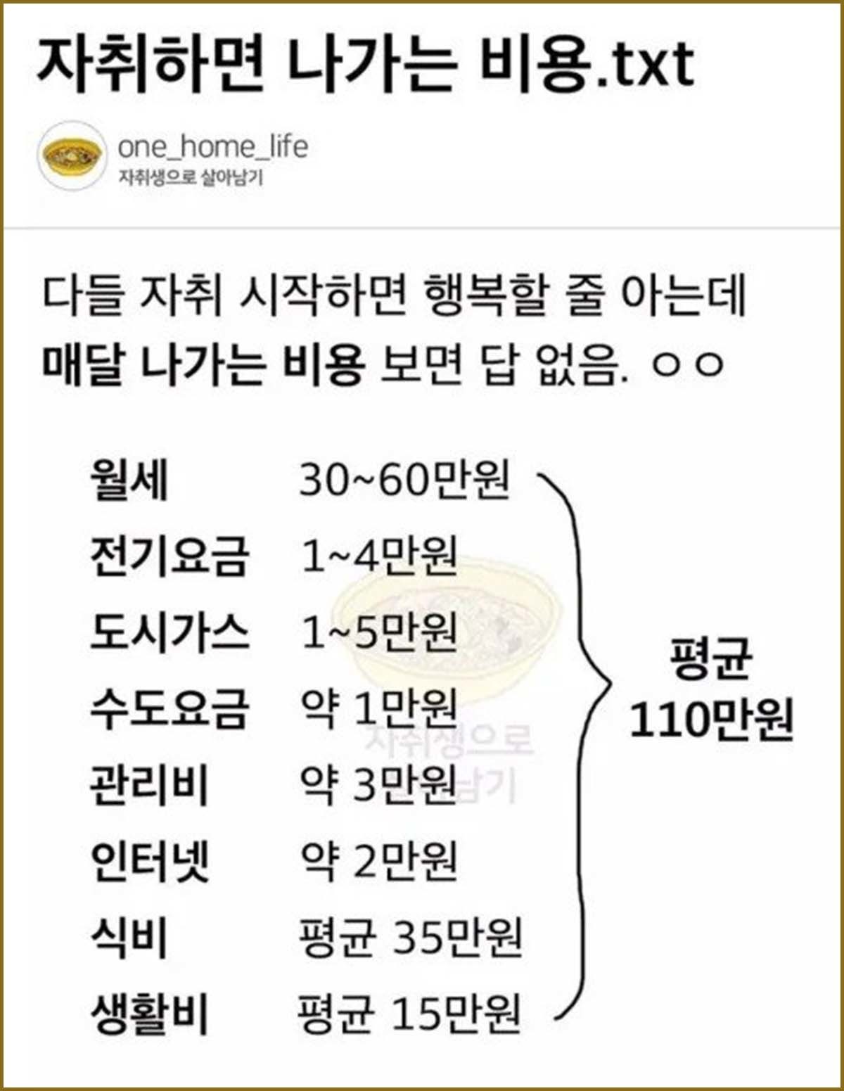 '자취생으로 살아남기' 커뮤니티에 올라온 게시물.