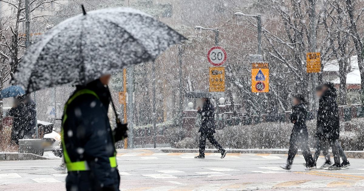 서울·경기, 강원 영서 지방에 대설주의보가 내려진 9일 서울 서초구 일대에 눈이 펑펑 내리고 있다. 기사 이해를 돕기 위한 이미지 / 뉴스1