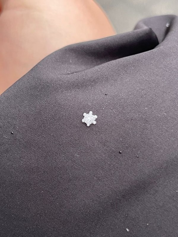 별모양의 눈 결정. 자세히 보면 정교한 결정을 확인할 수 있다. / 더쿠