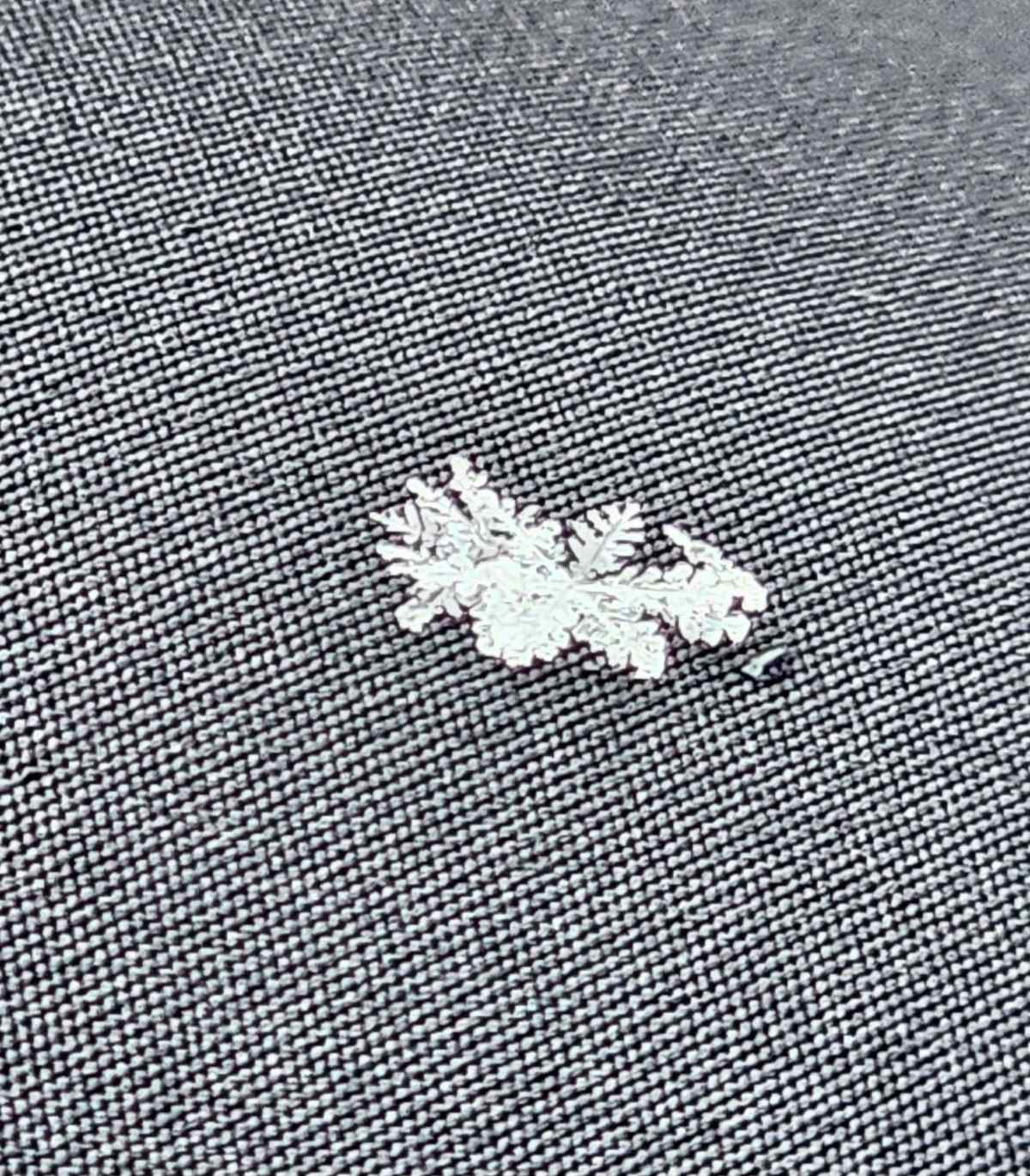 맨눈으로도 눈 결정의 곁가지를 볼 수 있다. / 더쿠