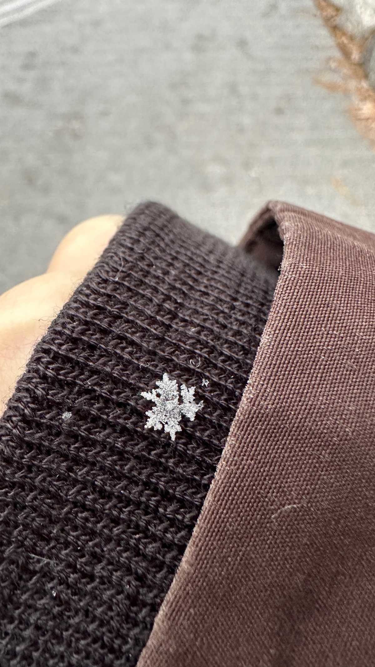 전국 곳곳에서 포착된 눈 결정. 네티즌이 온라인 커뮤니티 더쿠를 통해 직접 목격한 눈송이 사진을 공유했다. / 더쿠