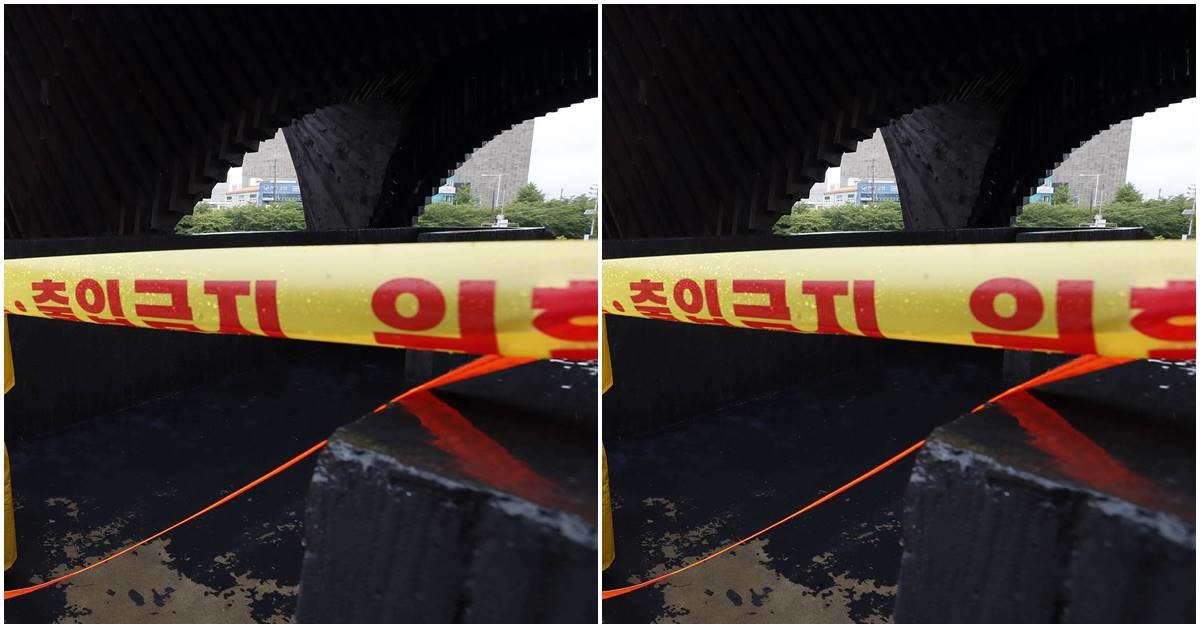 기사 이해를 돕기 위한 자료 사진 / 뉴스1