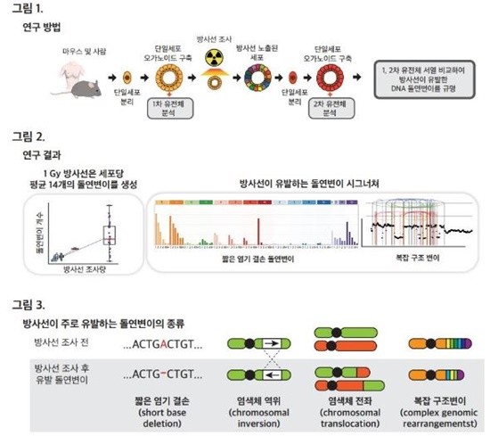 암은 세계적으로 큰 건강 문제로 인식되고 있으며, 암 치료에 대한 지속적인 연구와 기술 발전이 이루어지고 있다. / 사진제공=동남권원자력의학원