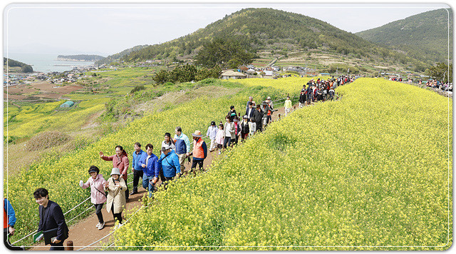 지난해 청산도 슬로걷기 축제를 찾은 관광객들 모습