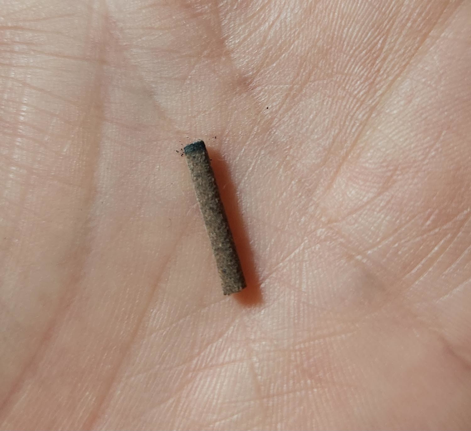 글쓴이가 받은 쌀에서 나온 타다 만 향. / 네이트판