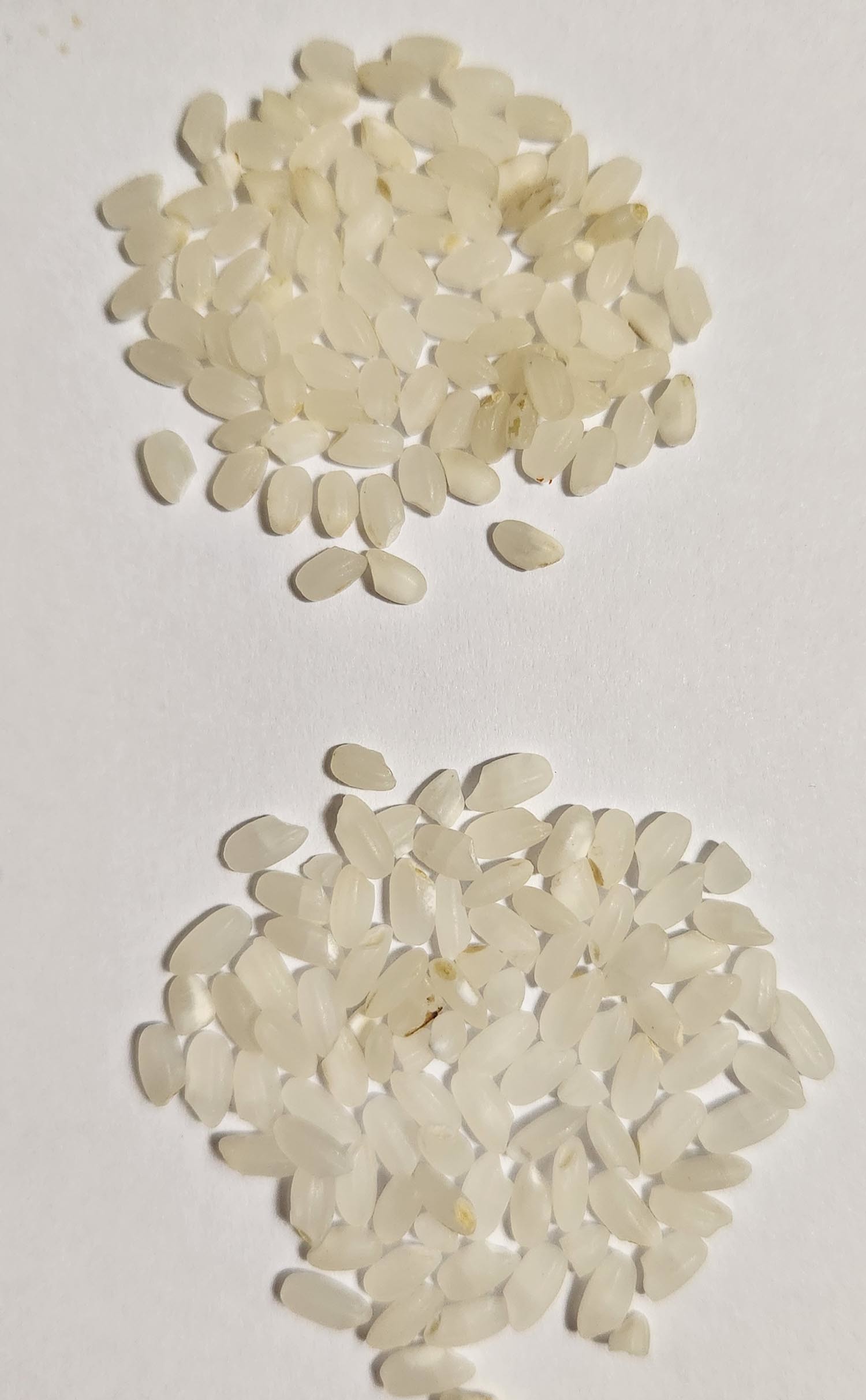 사진 위는 글쓴이 지인이 떡을 만들겠다며 가져온 쌀이고, 아래는 지인이 글쓴이에게 준 쌀이다.  / 네이트판