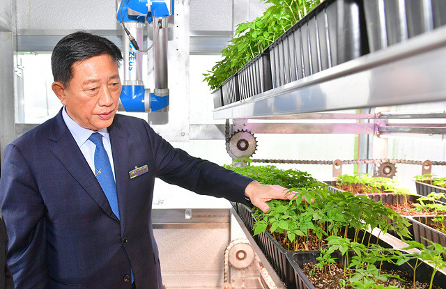 챔버형 스마트팜을 시찰 중인 김한종 장성군수