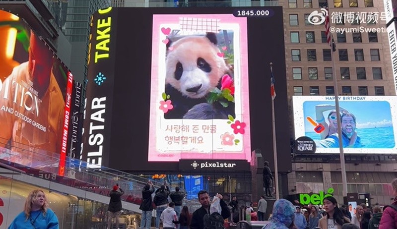 푸바오 광고가 게재된 미 뉴욕 타임스퀘어 전광판 / 중국 웨이보