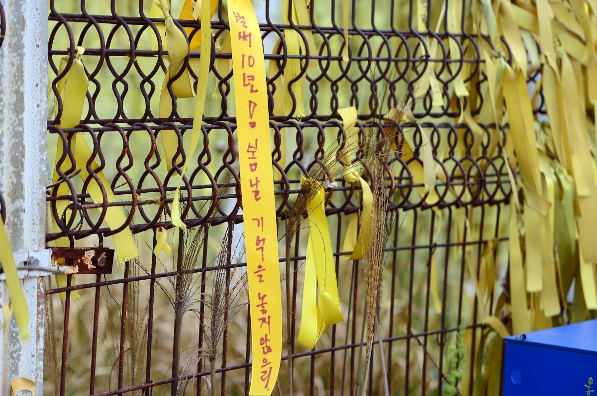 세월호 참사 10주기인 16일 오전 세월호 선체가 거치돼 있는 전남 목포시 달동 신항만에서 희생자를 추모하는 노란 리본이 바닷바람에 나부끼고 있다. / 뉴스1