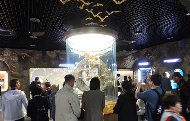 함평추억공작소에 마련된 황금박쥐전시관