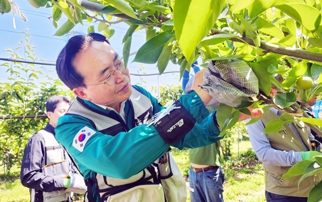 윤병태 나주시장 배 과수원 현장 방문해 농가 애로사항 청취