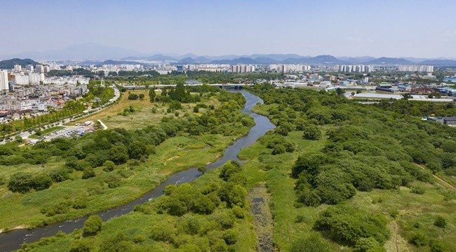 황룡강 장록습지 전경