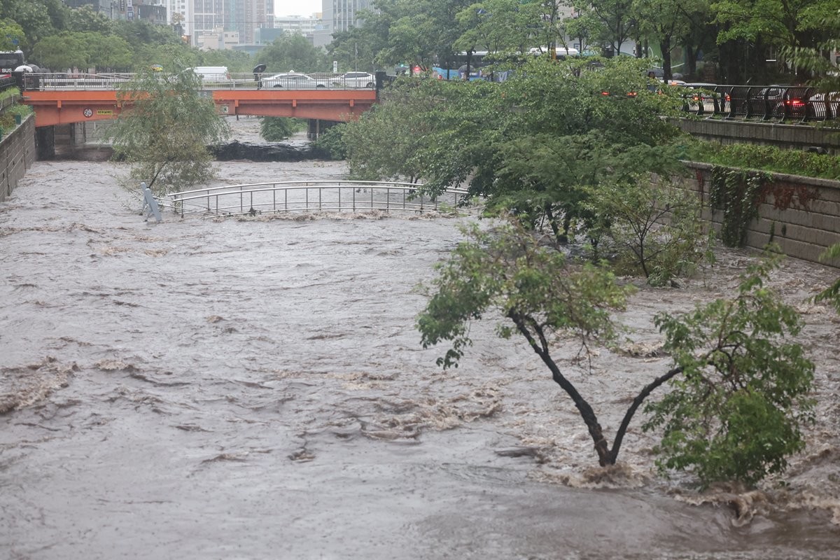 다리와 나무까지 물에 잠긴 청계천 산책로 / 뉴스1