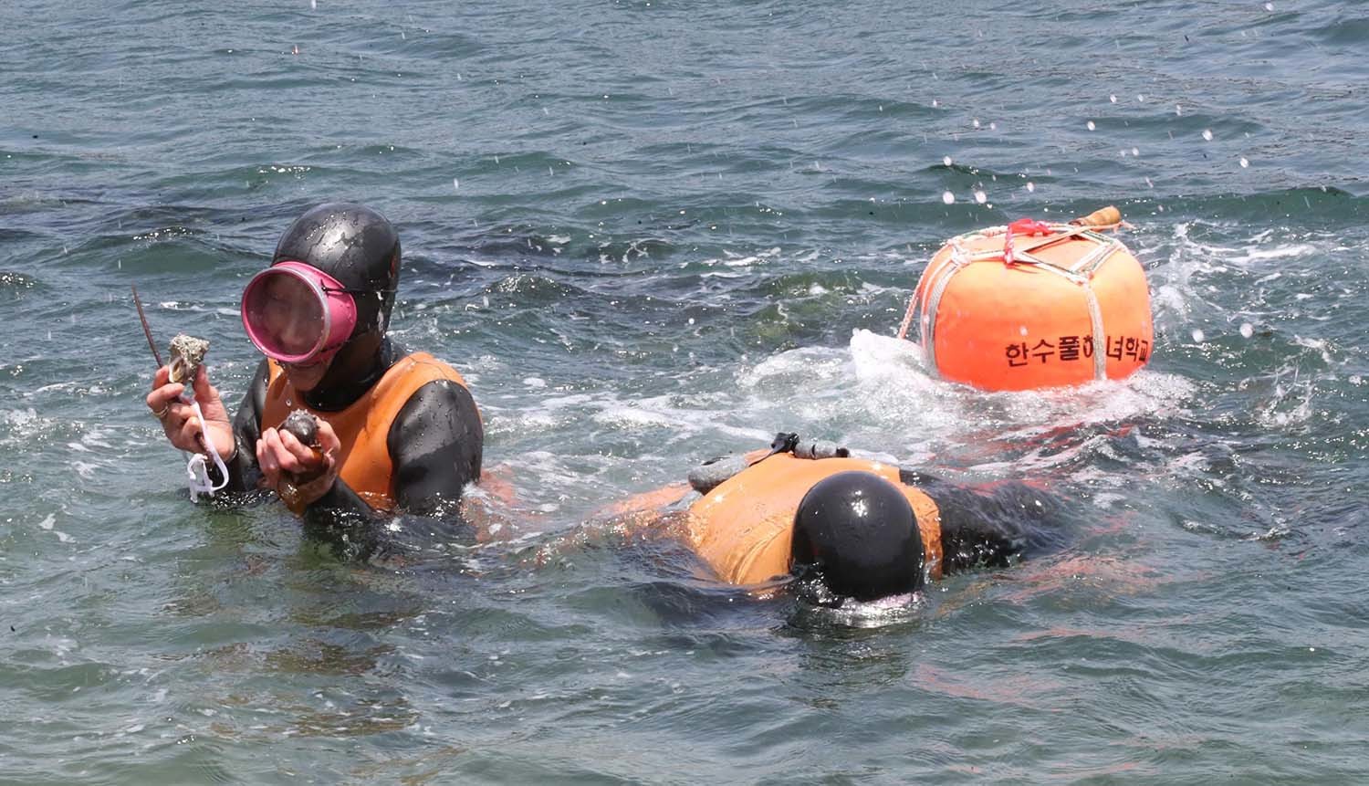 제주 해녀 자료사진. / 뉴스1