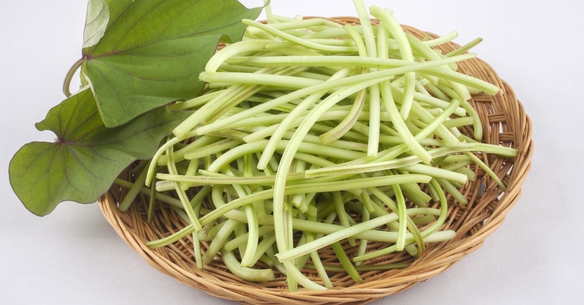 고구마줄기 자료 사진. / Stock for you-shutterstock.com