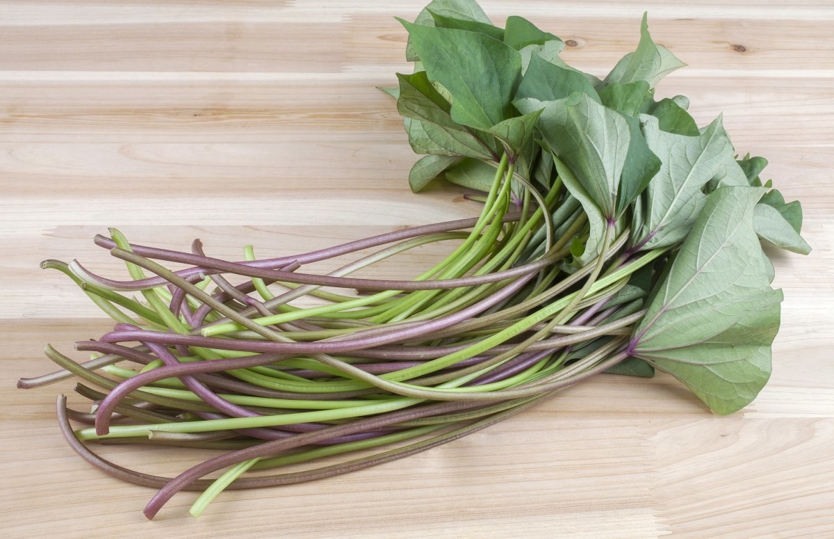 고구마줄기 자료 사진. / S tock for you-shutterstock.com