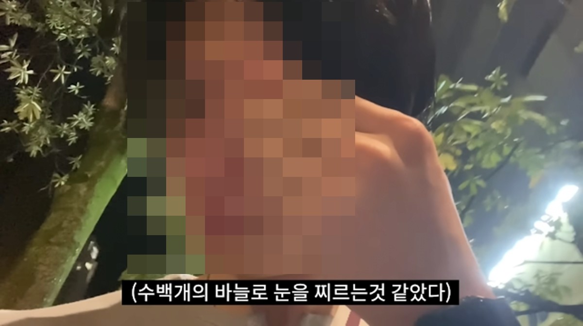 에펨코리아·유튜브
