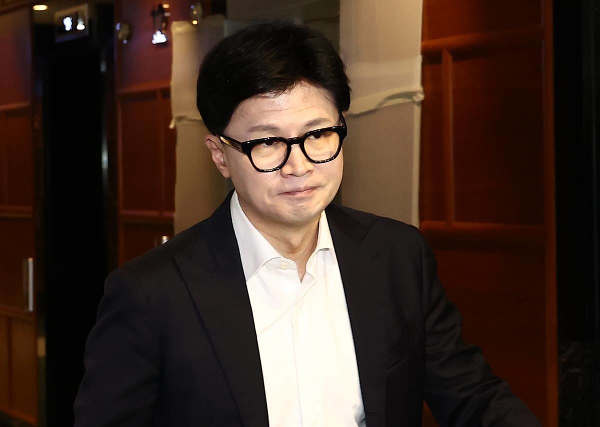 국민의힘 한동훈 대표