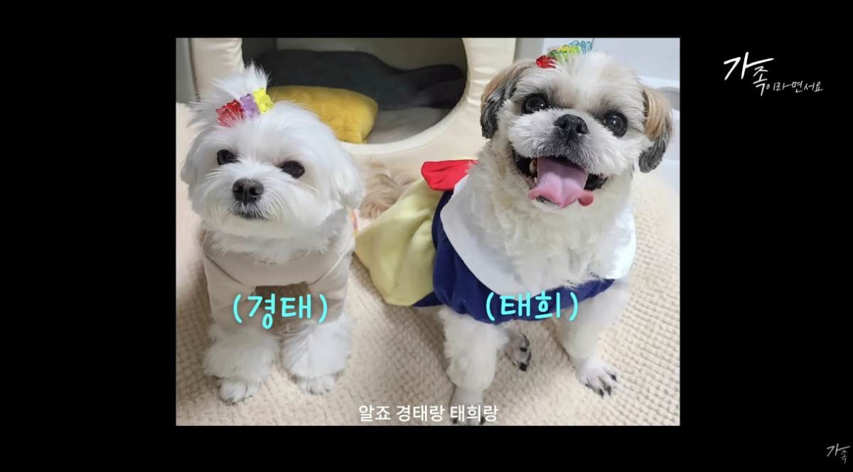 과거 잘 보살핌 받던 시절의 경태와 태희. / 유튜브 '가족이라면서요'
