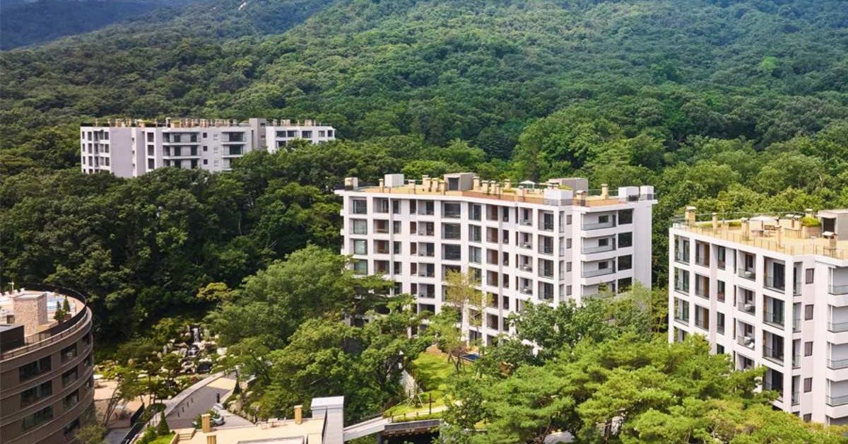 파라스파라 서울 전경. / 파라스파라 서울 제공