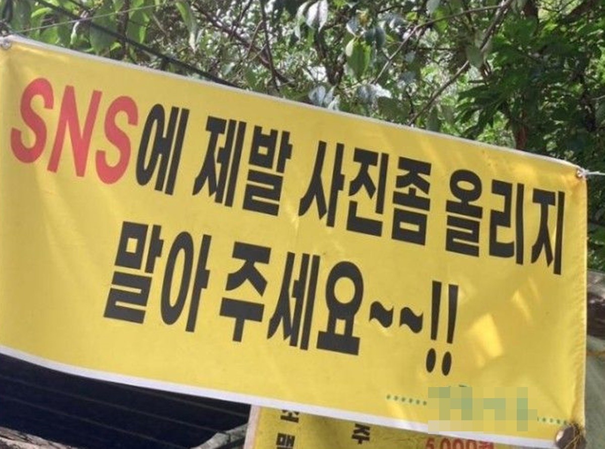 충북 진천의 한 계곡에서 불법영업 중인 식당이 내건 현수막.  / 에펨코리아