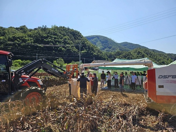단양군농업기술센터와 국립식량과학원은 지난 4일 신품종으로 개발한 수수 3종에 대한 현장 시연회를 가졌다. / 단양군