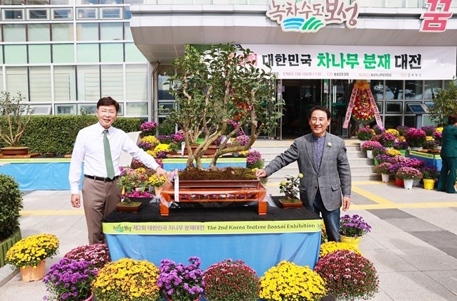 녹차수도 보성에서 ‘제2회 대한민국 차나무 분재대전’ 금상 작품을 감상하고 있다(김철우 보성군수(왼쪽), 보성차나무분재협회 임봉현 회장)