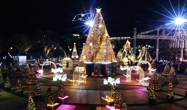 함평 겨울밤 빛 축제