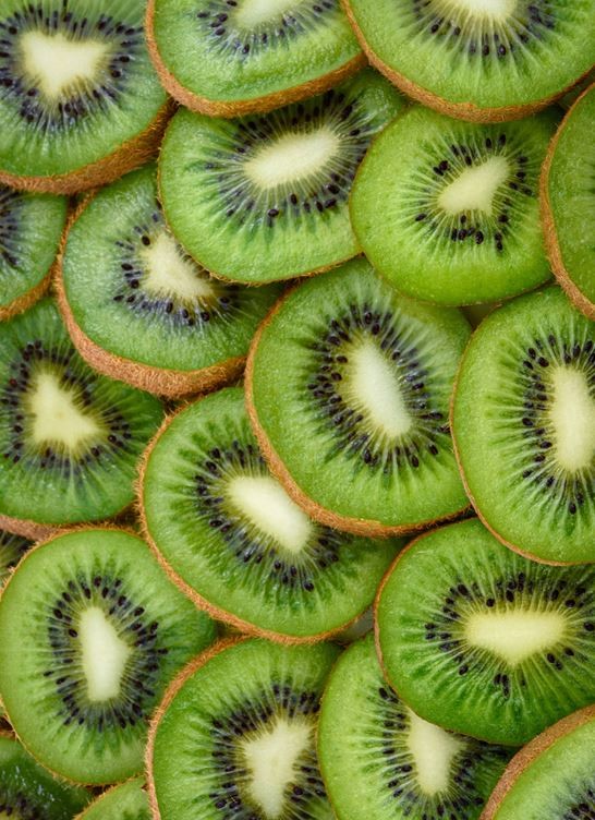 키위 / Valentyn Volkov-shutterstock.com