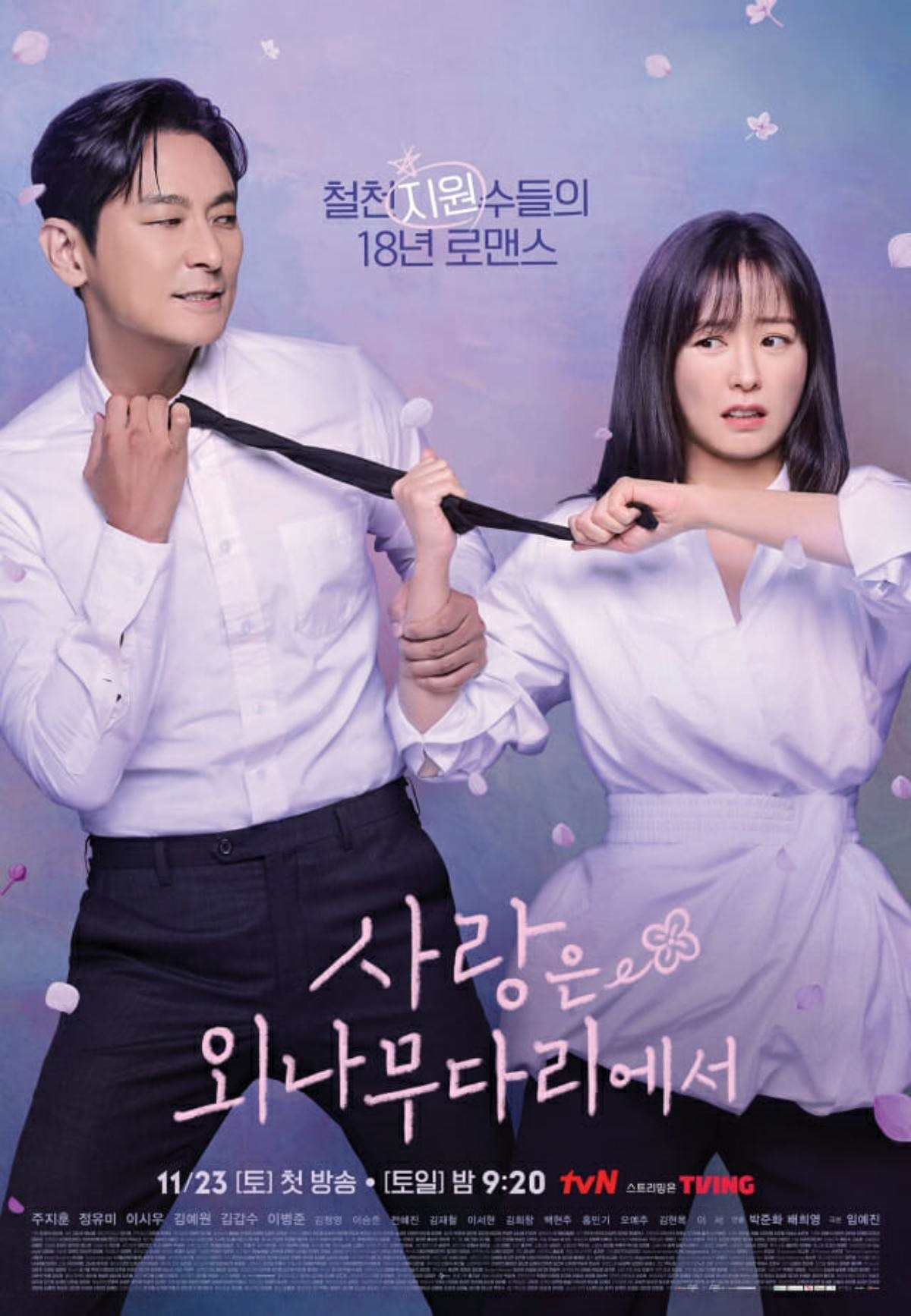 Love Your Enemy poster. / Courtesy of tvN