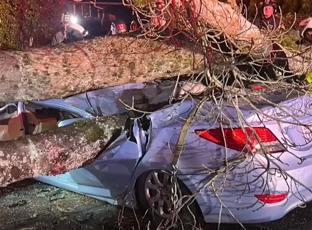 The story of an American who was saved from the Seattle storm thanks to a Hyundai Accent. / Courtesy of KING-TV YouTube