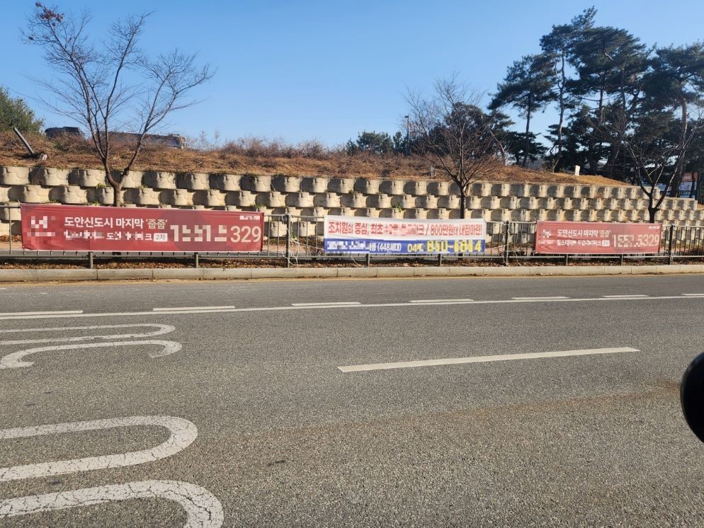 세종시 불법 현수막 난립…행정수도 이미지 훼손 우려 / 위키트리 양완영 기자