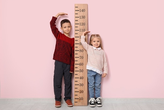 기사의 이해를 돕기 위한 사진 / Pixel-Shot-shutterstock.com