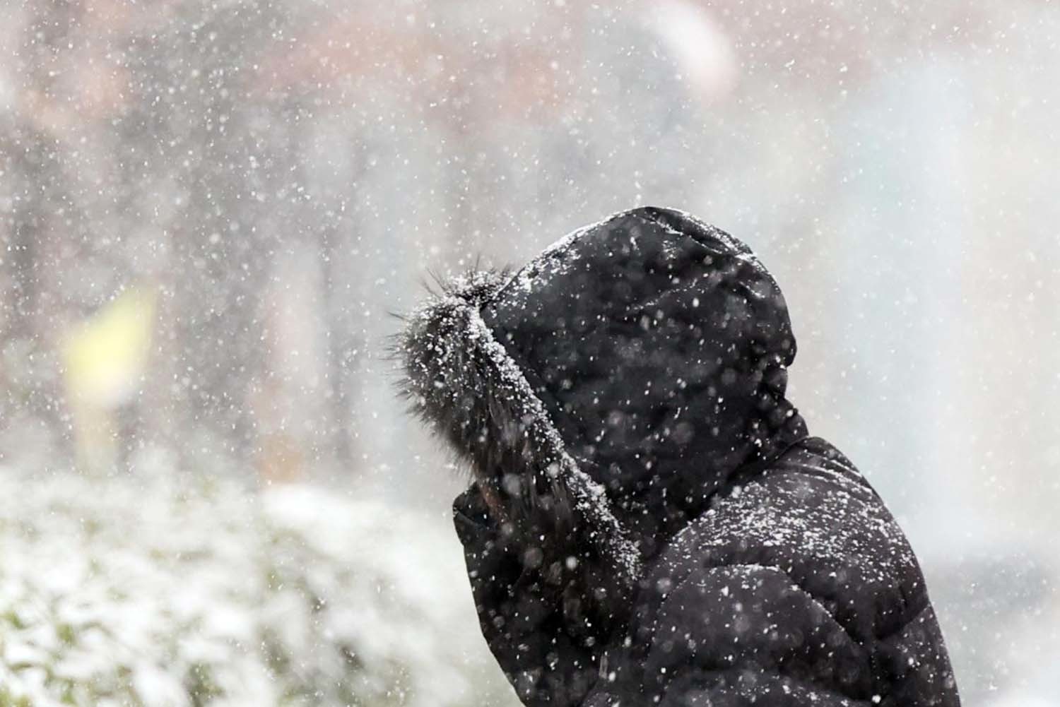 설 명절 연휴 사흘째이자 대설주의보가 발효된 27일 오후 서울 영등포구청 인근 도로에서 시민이 눈을 맞으며 발걸음을 재촉하고 있다. / 뉴스1