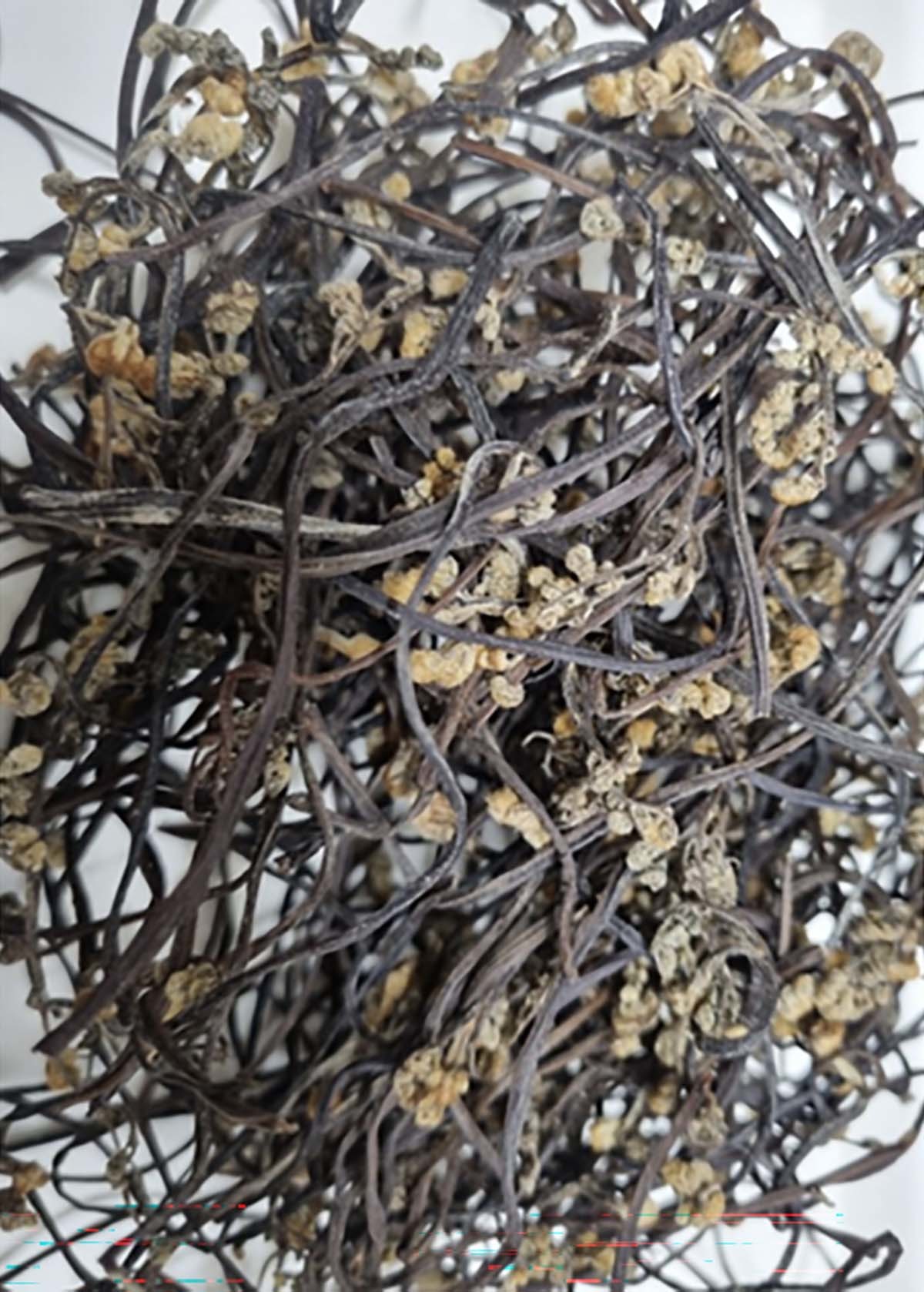 말린 고사리 / 쿠팡