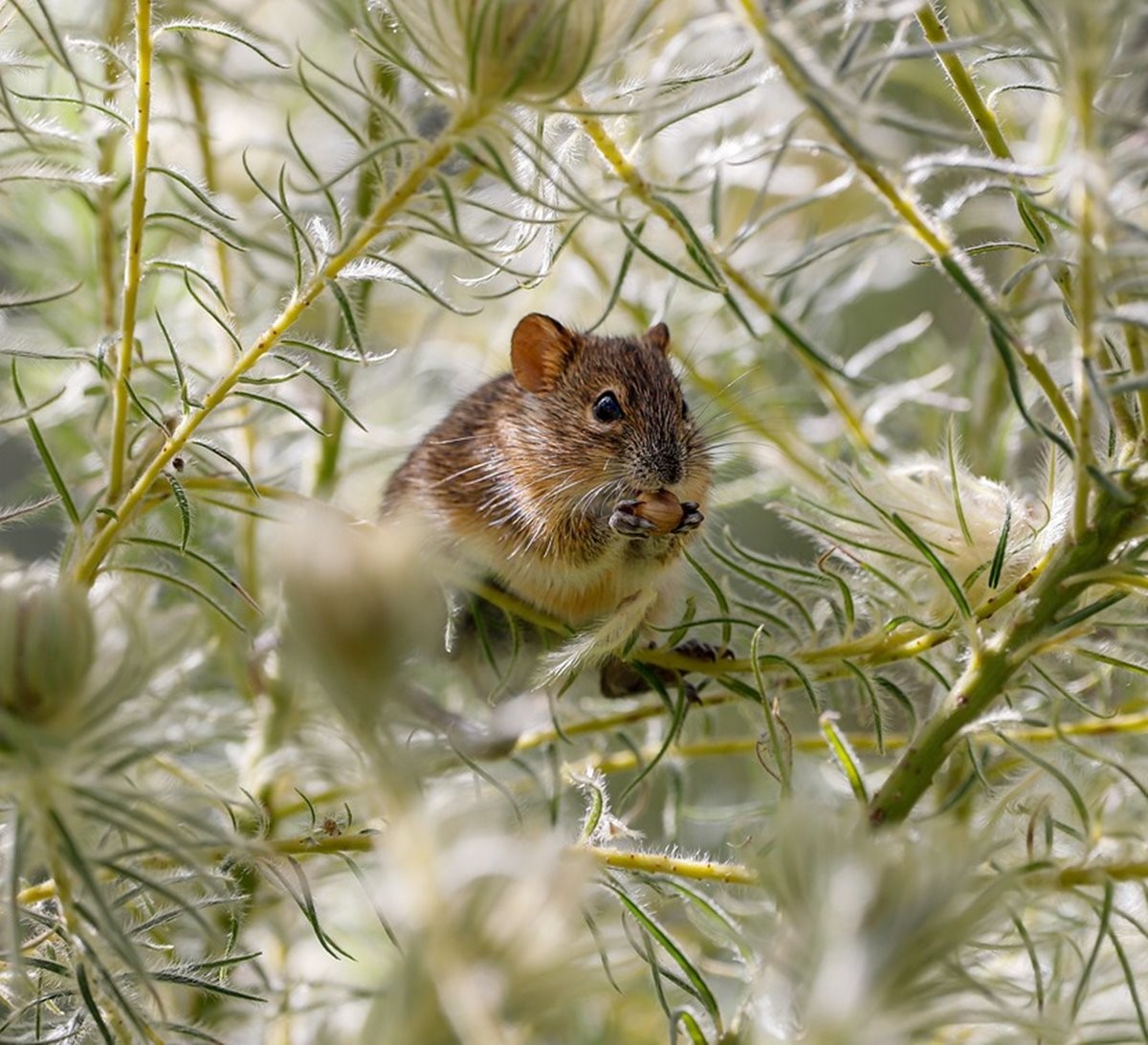퀴즈 자료 사진 / 뉴스캐시 제공