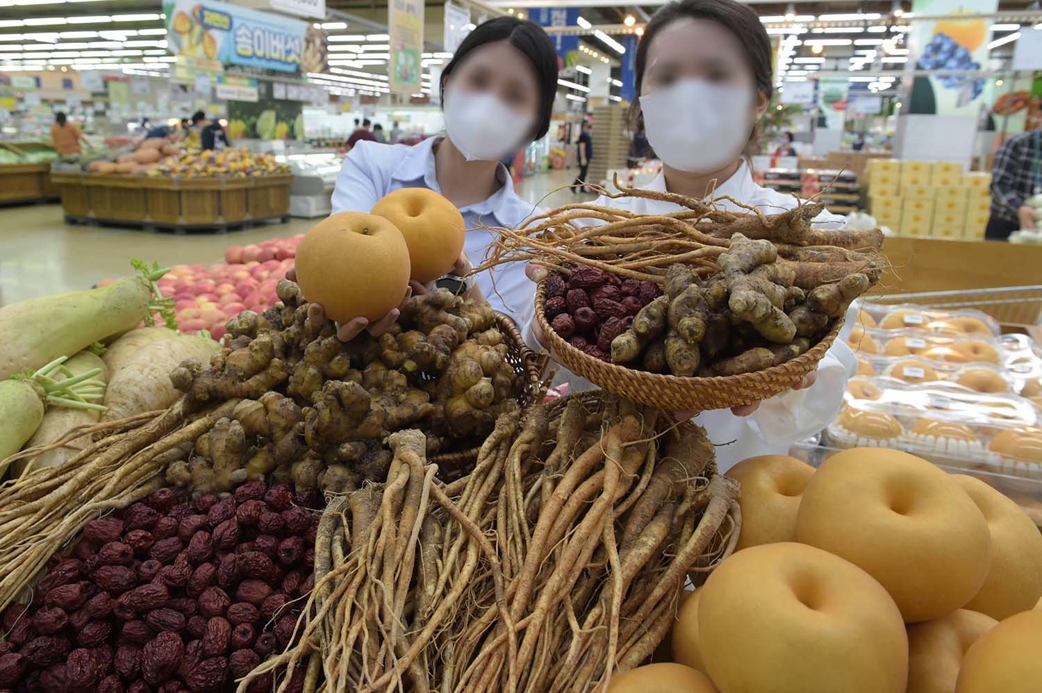 도라지는 호흡기 질환에 효능이 있는 것으로 알려졌다. / 뉴스1
