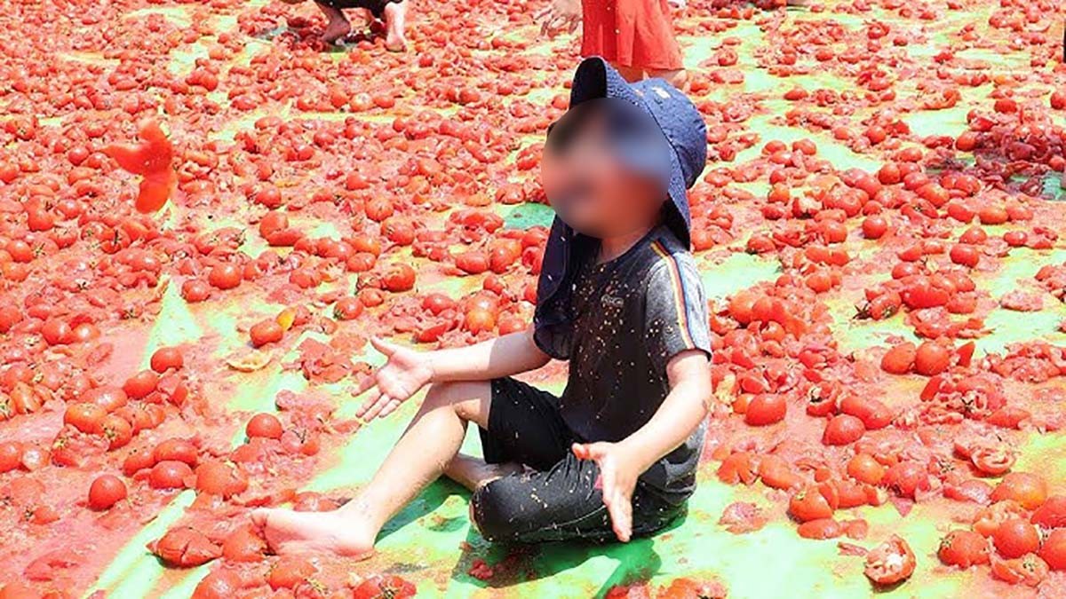 토마토 축제장에서 즐거워하는 어린이 / 연합뉴스 자료사진