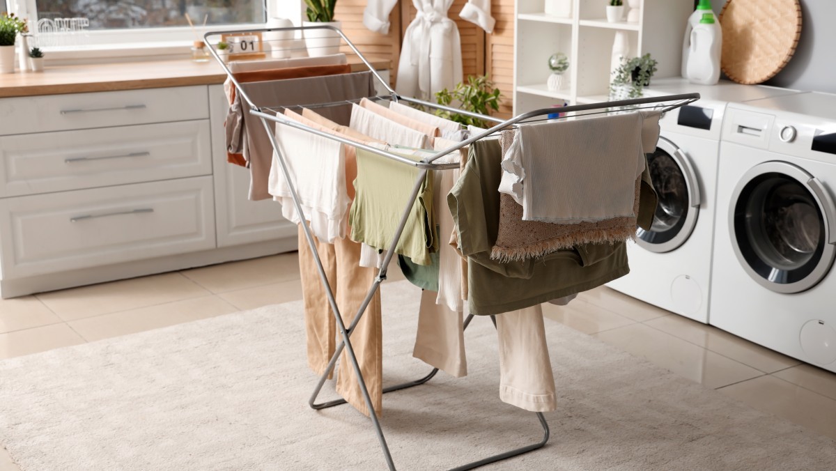 기사의 이해를 돕기 위한 이미지. / Pixel-Shot-shutterstock.com