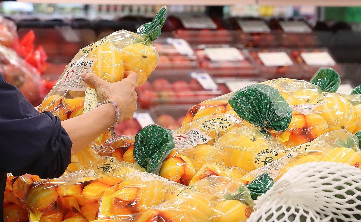 참외를 바라보는 시민. 기사와 무관한 자료 사진 / 뉴스1