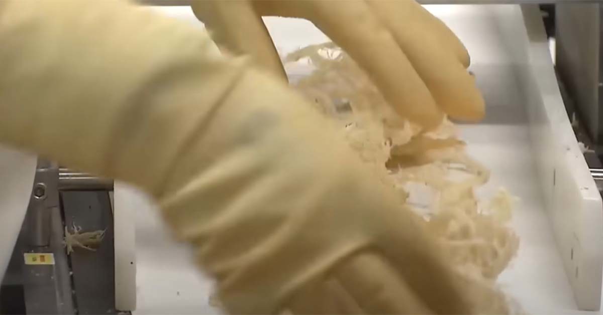 진미채 제조 모습. / KBS 뉴스 영상 캡처