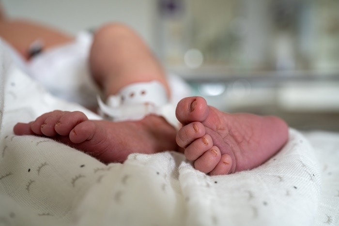 기사의 이해를 돕기 위한 사진 / Sebw-shutterstock.com
