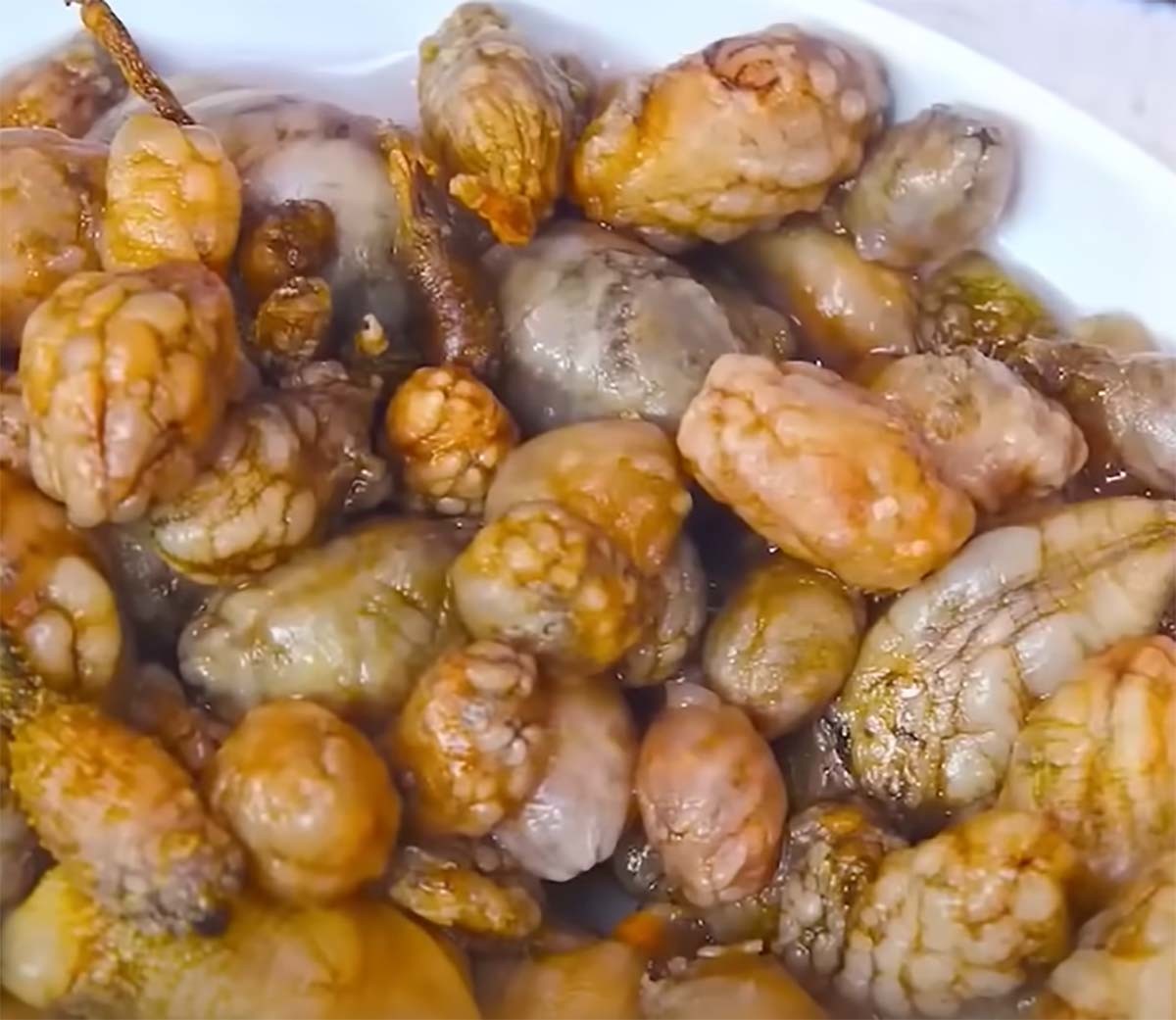 미더덕이라는 이름으로 잘못 알려진 오만둥이는 외래종이다. / '입질의추억TV' 유튜브 채널