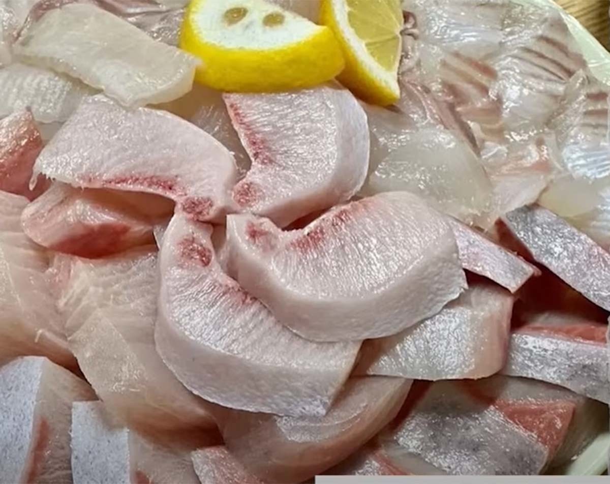 방어회 / '일사에프' 유튜브 채널 영상 캡처