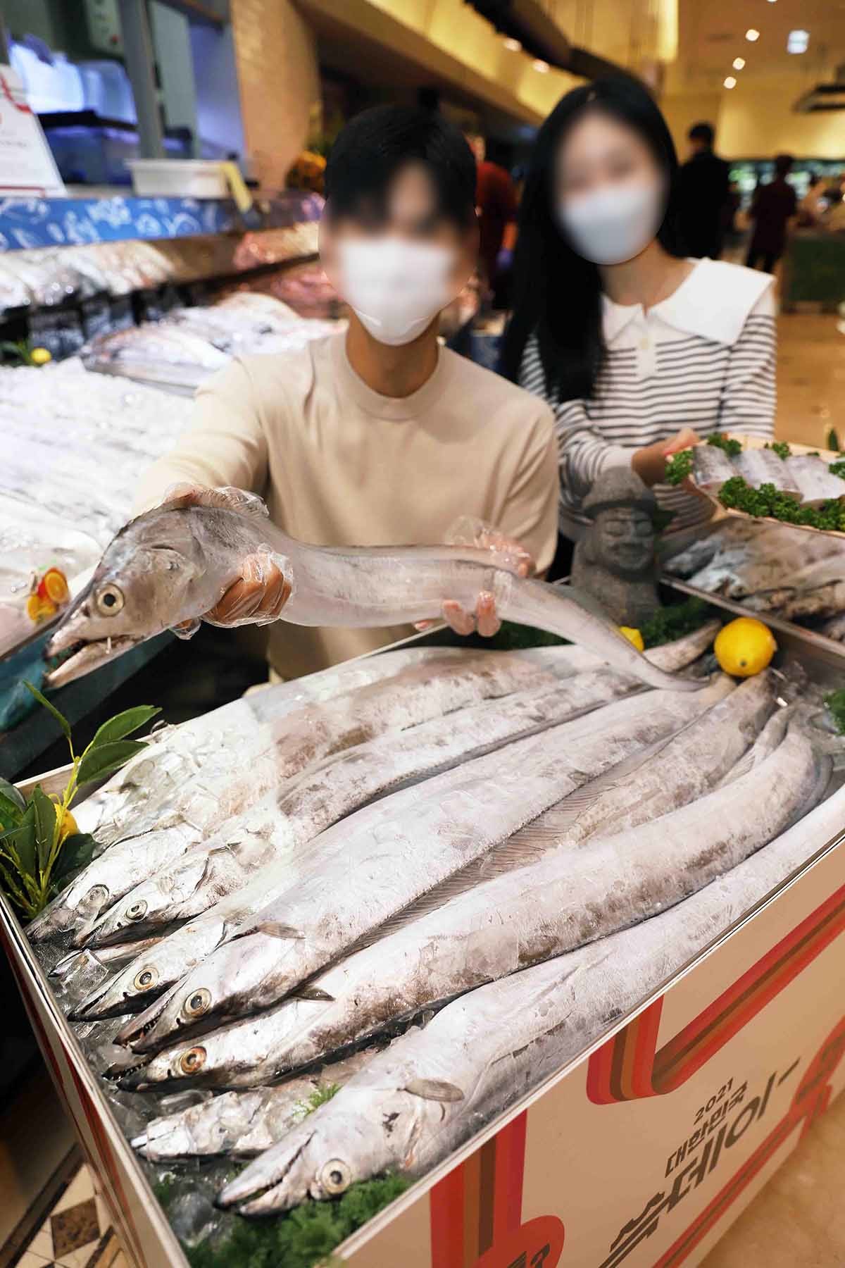 갈치 / 뉴스1 자료사진