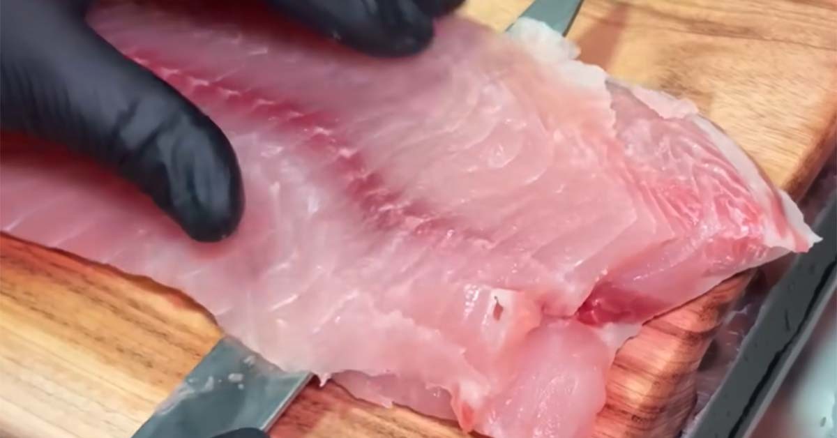 향어 회를 손질하는 모습. / 마초TV 유튜브 영상 캡처